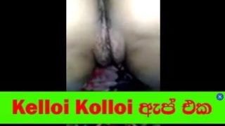 Sri Lankan Dating App Kelloi Kolloi 15
