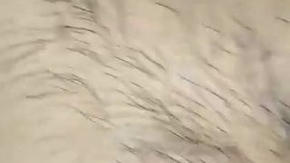 Cum In Pussy